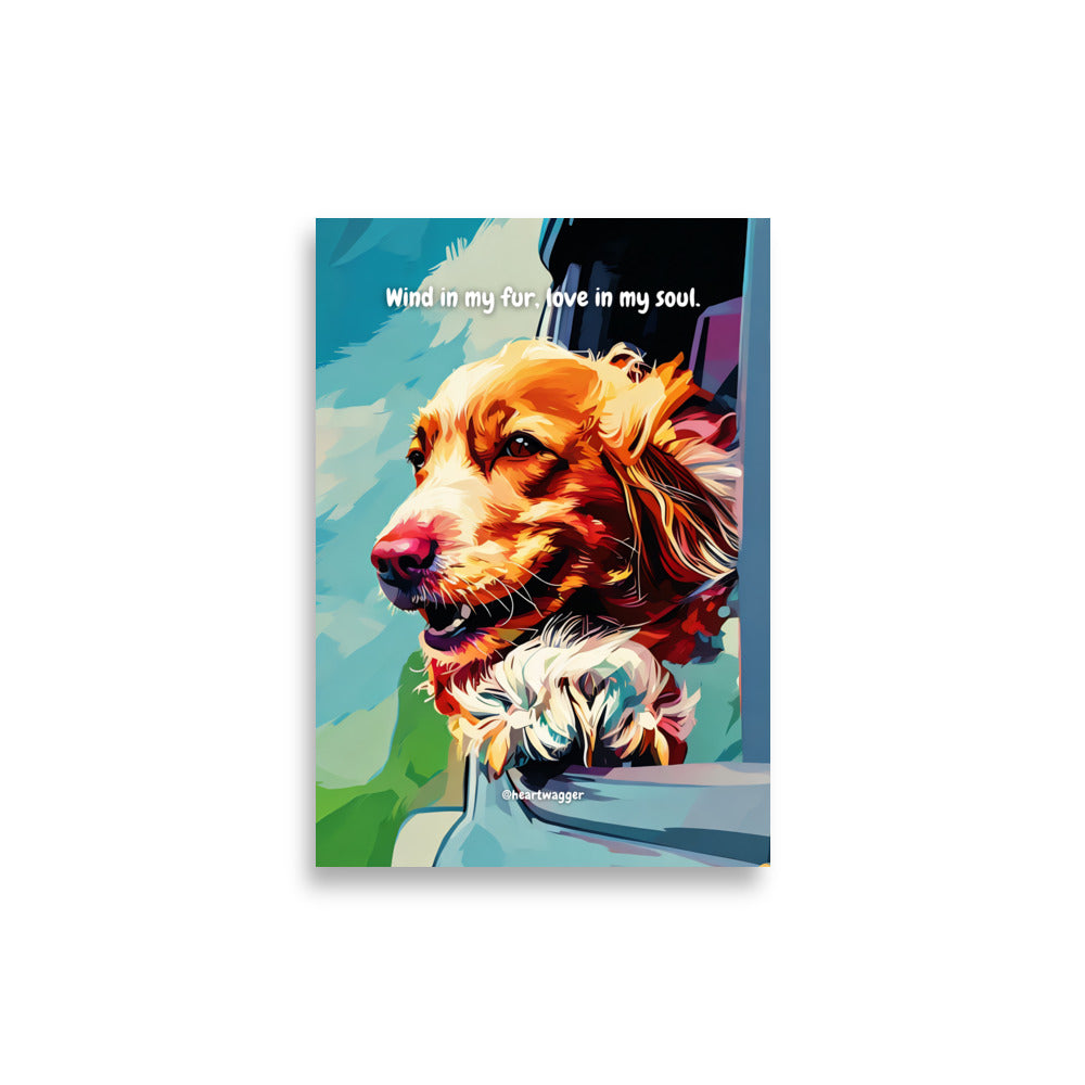 Poster - Wind in my fur, love in my soul | SHALMIAK