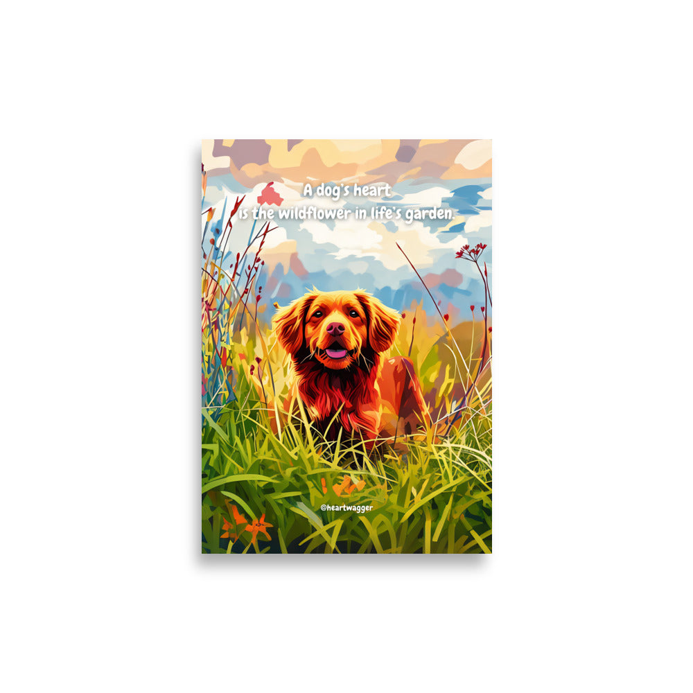 Poster - A dog’s heart is the wildflower in life’s garden | SHALMIAK