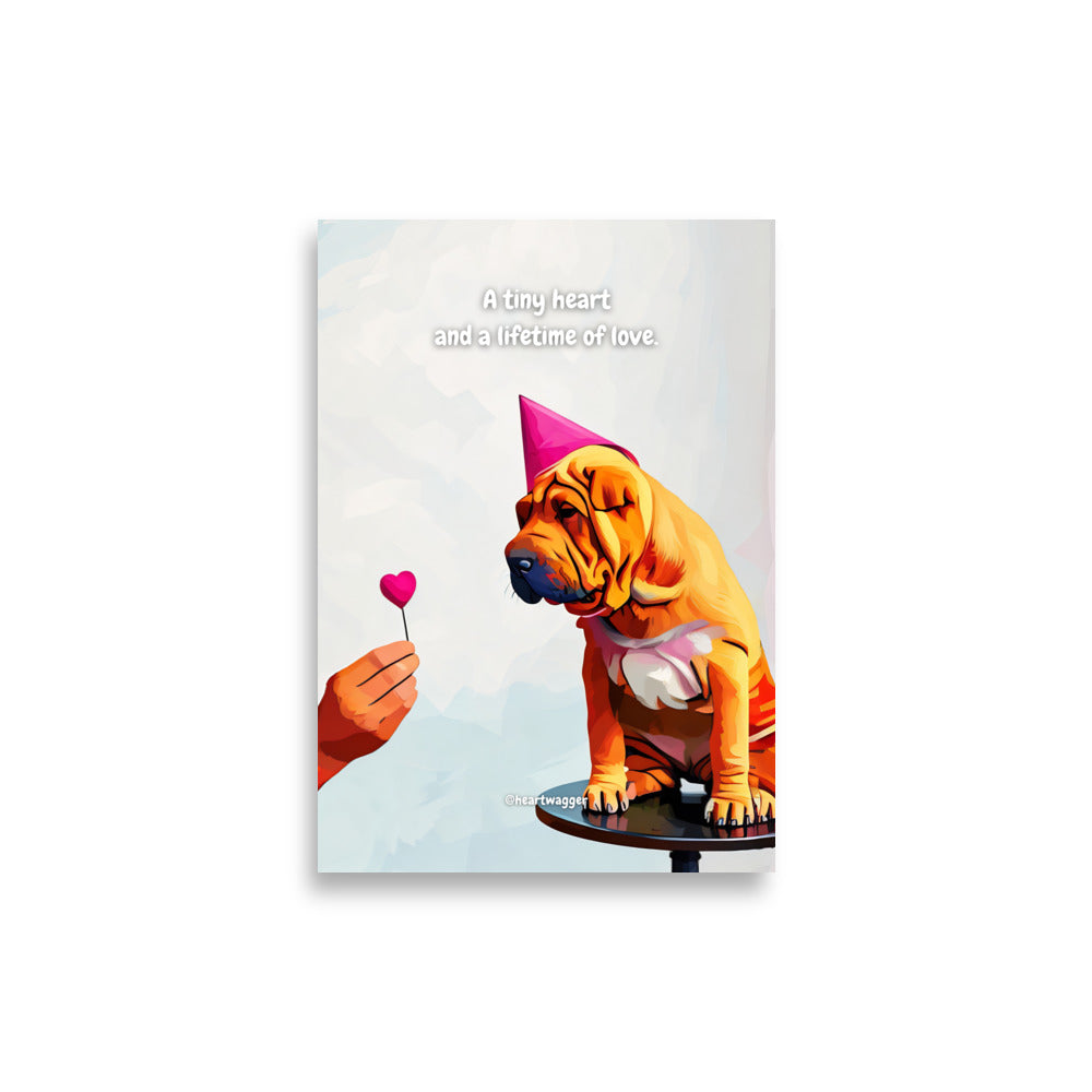 Poster - A tiny heart and a lifetime of love | SHALMIAK