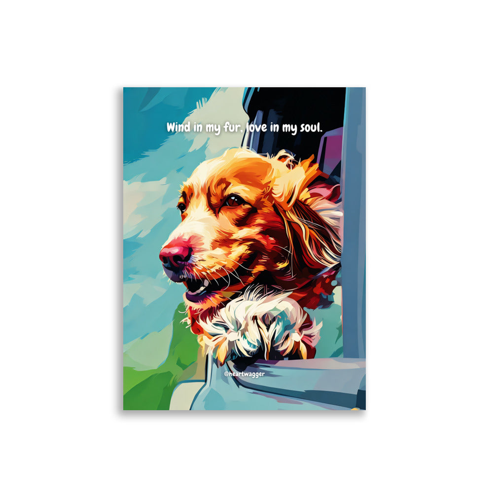 Poster - Wind in my fur, love in my soul | SHALMIAK