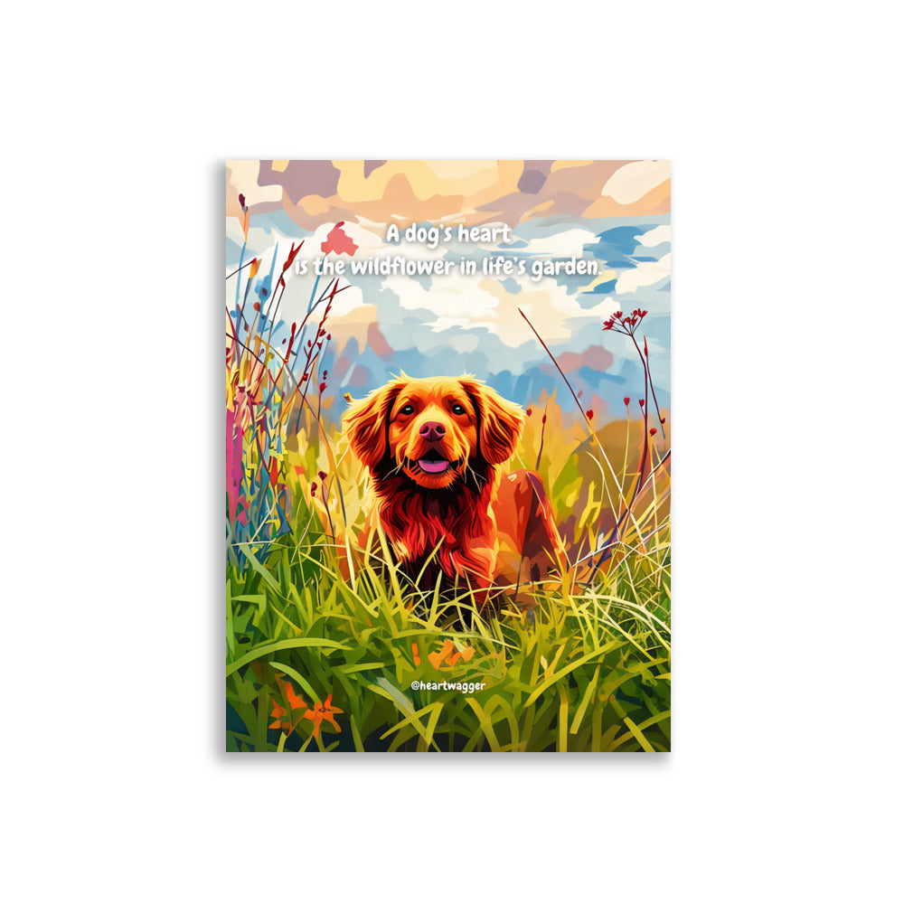 Poster - A dog’s heart is the wildflower in life’s garden | SHALMIAK