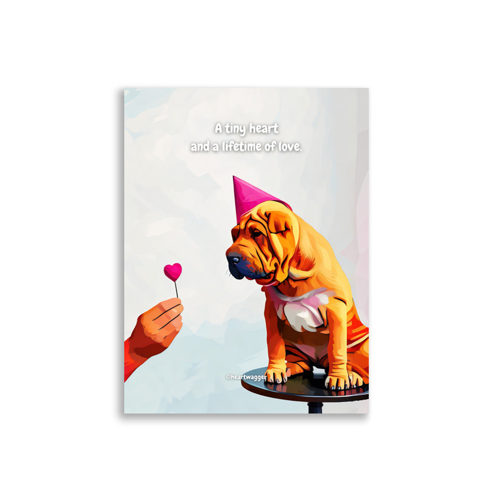 Poster - A tiny heart and a lifetime of love | SHALMIAK