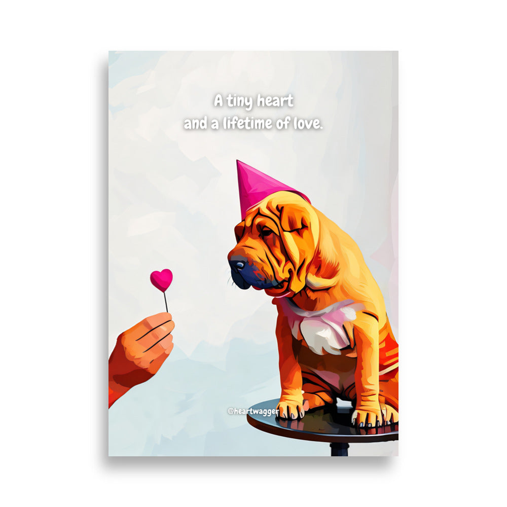 Poster - A tiny heart and a lifetime of love | SHALMIAK