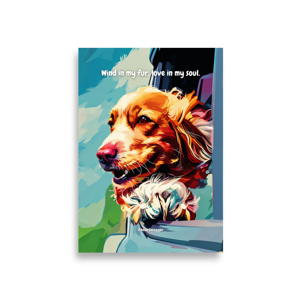 Poster - Wind in my fur, love in my soul | SHALMIAK