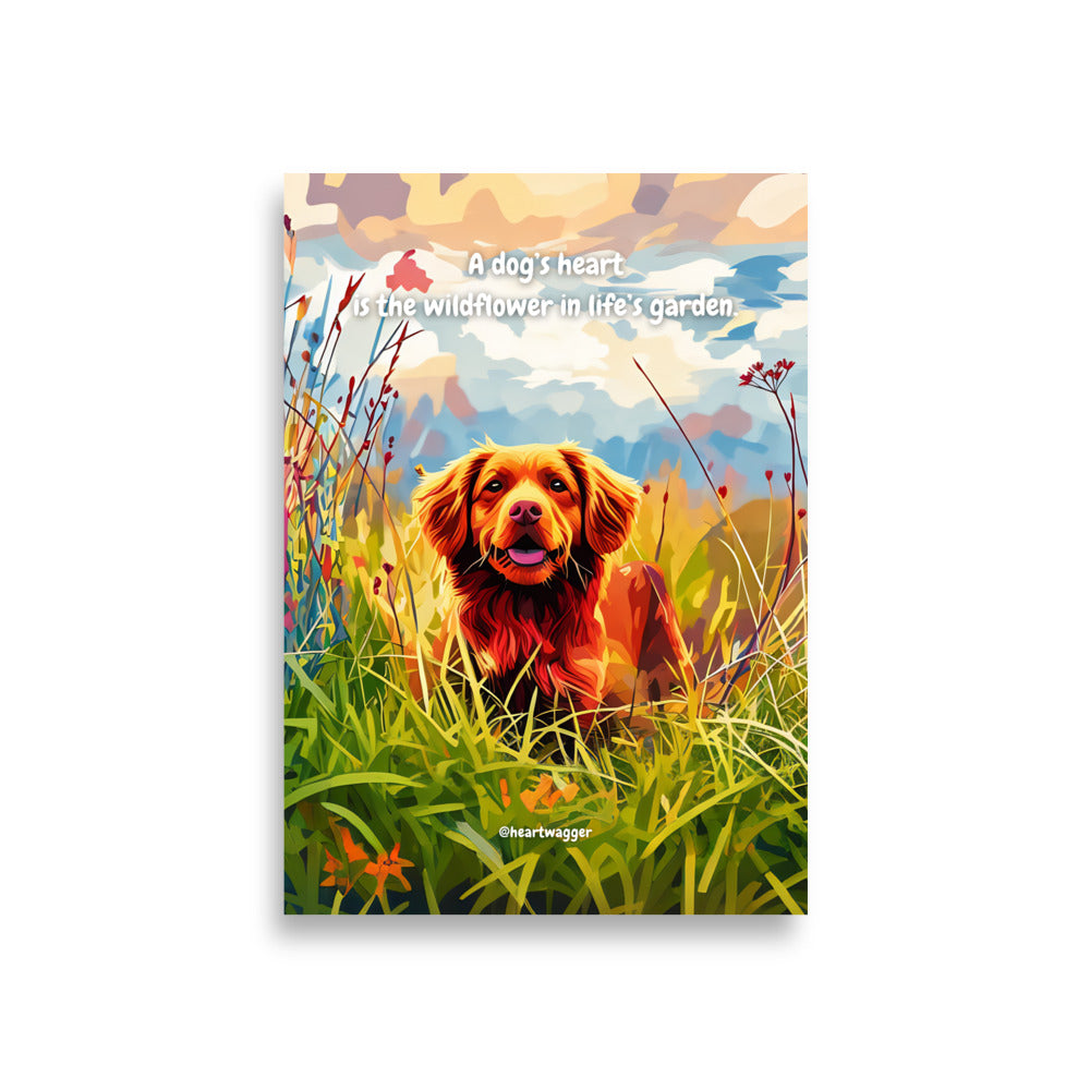 Poster - A dog’s heart is the wildflower in life’s garden | SHALMIAK