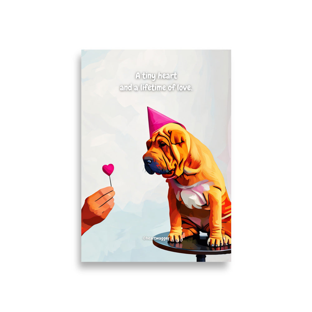 Poster - A tiny heart and a lifetime of love | SHALMIAK