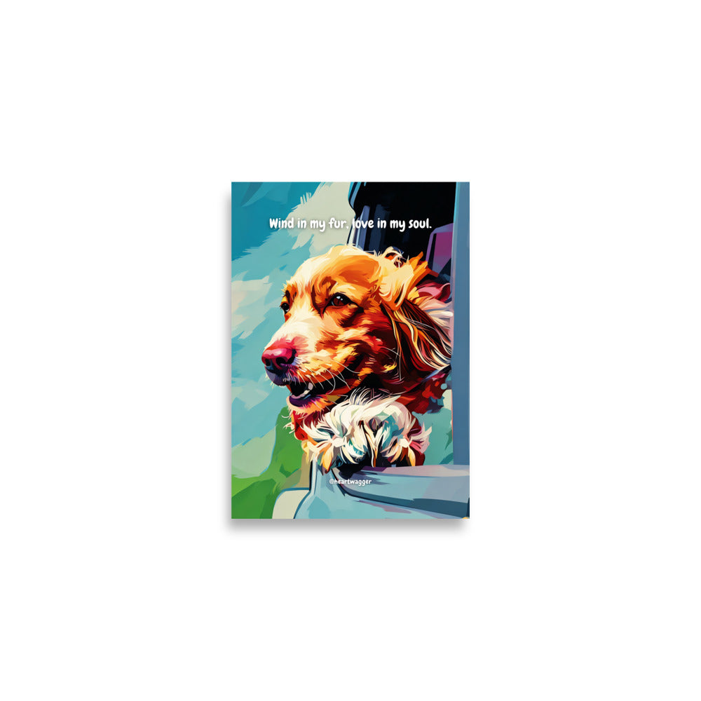 Poster - Wind in my fur, love in my soul | SHALMIAK