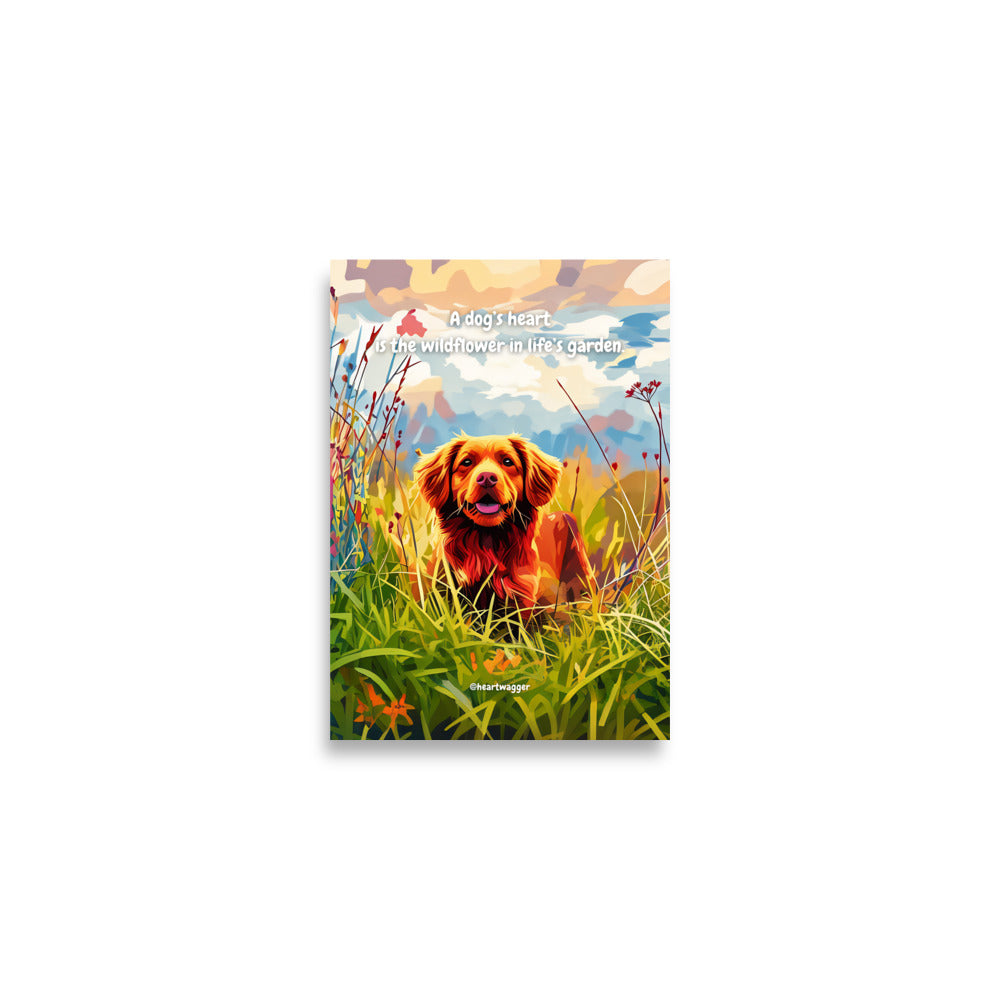 Poster - A dog’s heart is the wildflower in life’s garden | SHALMIAK
