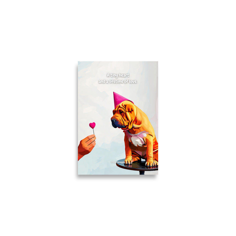 Poster - A tiny heart and a lifetime of love | SHALMIAK
